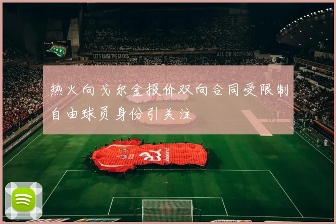 热火向戈尔金报价双向合同受限制自由球员身份引关注
